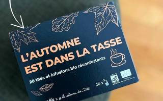 Au moins 3 bonnes raisons de vous faire aimer l’automne