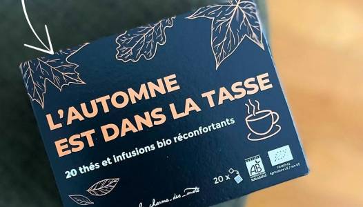 Au moins 3 bonnes raisons de vous faire aimer l’automne