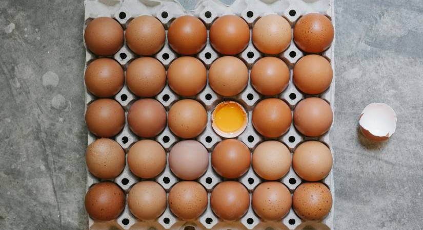 En vrac et 100% locaux : nos œufs BIO débarquent !