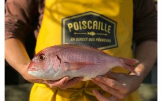 La Balançoire s’engage pour les océans : découvrez Poiscaille, le casier de la mer 100% durable !