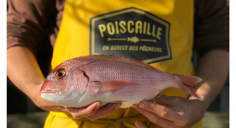 La Balançoire s’engage pour les océans : découvrez Poiscaille, le casier de la mer 100% durable !