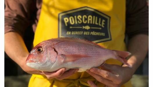 La Balançoire s’engage pour les océans : découvrez Poiscaille, le casier de la mer 100% durable !
