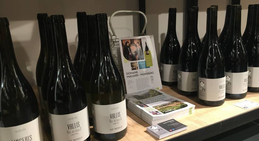 Découvrez les nouvelles cuvées bio du Domaine Maujard-Weinsberg (AOC Moselle) 