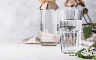 La cure de sève de bouleau : votre allié naturel pour détoxifier et revitaliser !