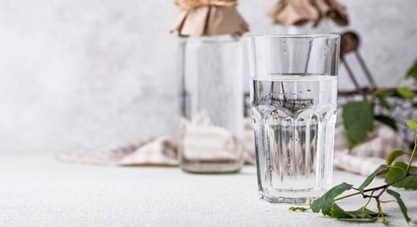 La cure de sève de bouleau : votre allié naturel pour détoxifier et revitaliser !