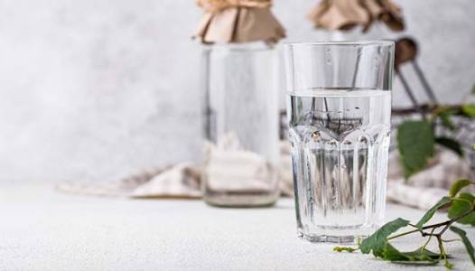 La cure de sève de bouleau : votre allié naturel pour détoxifier et revitaliser !