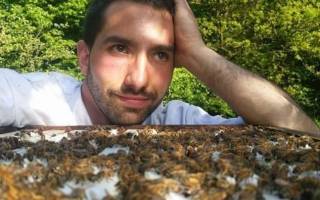 Et si vous parrainiez des abeilles ?