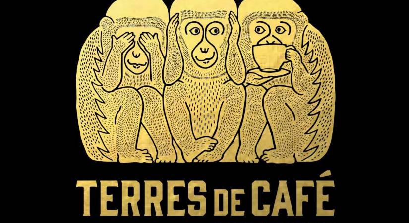 A la découverte de la filière durable du café de spécialité