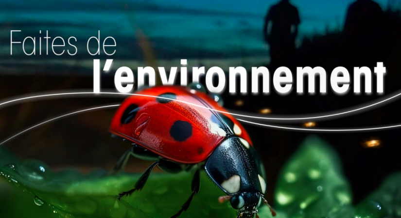Retrouvez-moi à la « Faites de l'Environnement »